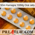 5Gm Kamagra 100Mg Oral Jelly levitra1